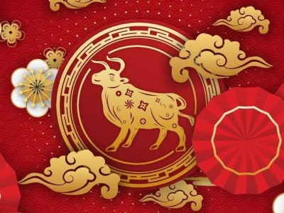 联鹏恭祝您牛年大吉、牛气冲天！